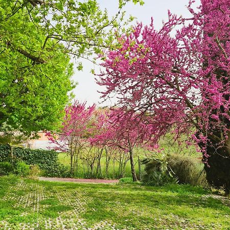 Il Parco Holiday - Locazione Turistica Fonte Nuova Extérieur photo