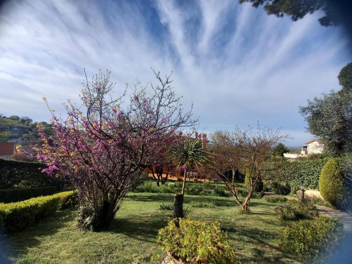 Il Parco Holiday - Locazione Turistica Fonte Nuova Extérieur photo