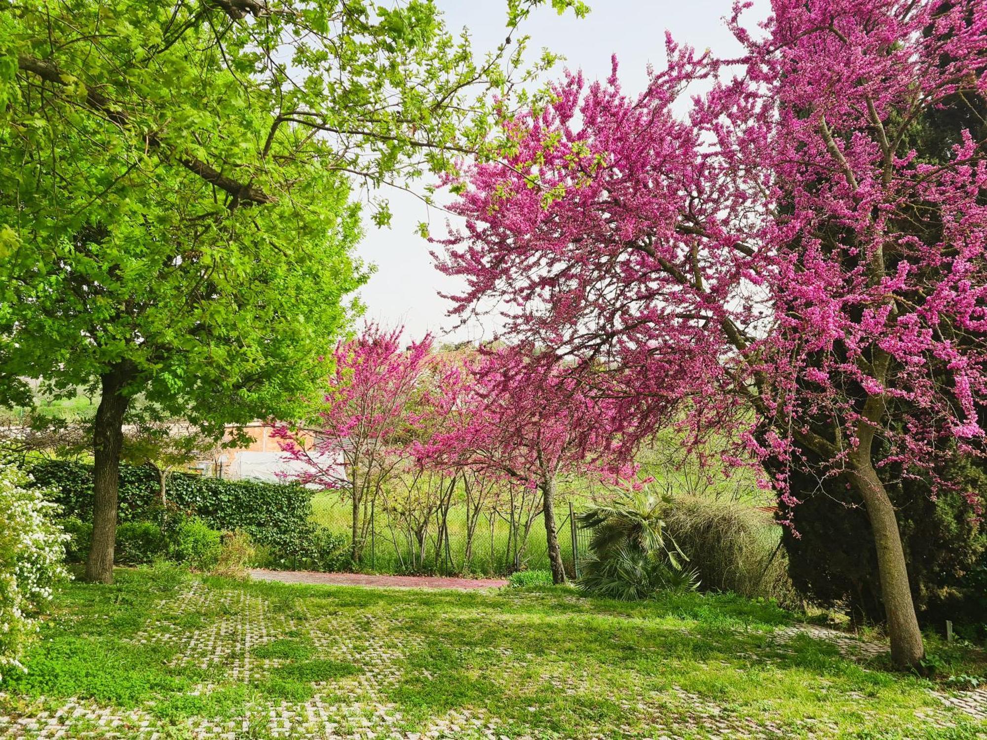 Il Parco Holiday - Locazione Turistica Fonte Nuova Extérieur photo