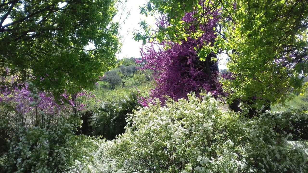 Il Parco Holiday - Locazione Turistica Fonte Nuova Extérieur photo